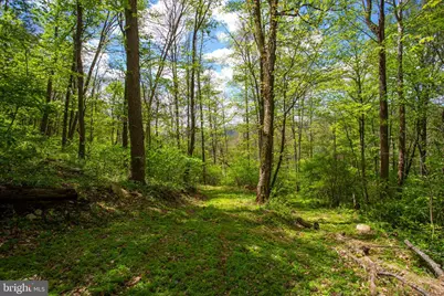 0 Church Mountain Lane, Fulks Run, VA 22830 - Photo 3