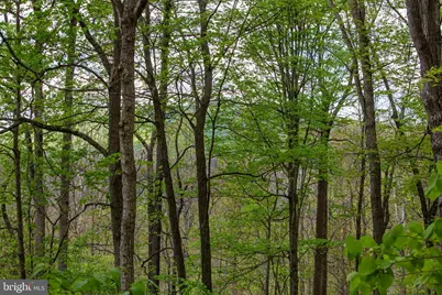0 Church Mountain Lane, Fulks Run, VA 22830 - Photo 5