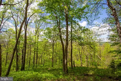 0 Church Mountain Lane, Fulks Run, VA 22830 - Photo 1