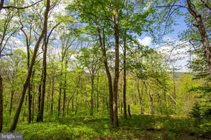 0 Church Mountain Ln, Fulks Run, VA 22830 - Photo 1