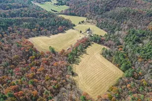 19442 Runions Creek Rd, Broadway, VA 22815 - Photo 17