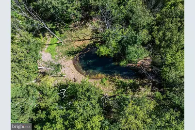 Berrytown Road, Elkton, VA 22827 - Photo 5