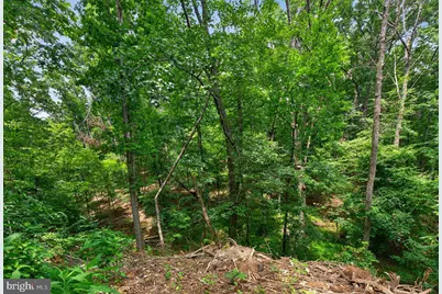 1214 W Peake Lane, Harrisonburg, VA 22802 - Photo 69