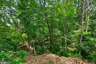 1214 W Peake Ln, Harrisonburg, VA 22802 - Photo 69
