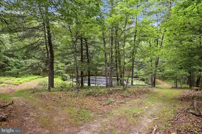 14636 Turner Road, Fulks Run, VA 22830 - Photo 67