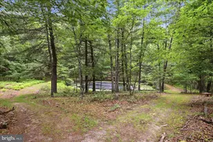 14636 Turner Rd, Fulks Run, VA 22830 - Photo 67