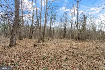 12111 Sleepy Hollow Lane, Fulks Run, VA 22830 - Photo 31