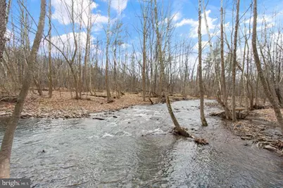 12111 Sleepy Hollow Lane, Fulks Run, VA 22830 - Photo 29