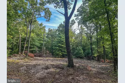 Church Mountain Lane, Broadway, VA 22815 - Photo 11