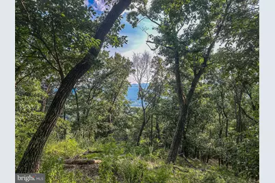 Church Mountain Lane, Broadway, VA 22815 - Photo 13