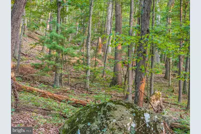 Church Mountain Lane, Broadway, VA 22815 - Photo 57