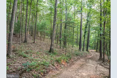 Church Mountain Lane, Broadway, VA 22815 - Photo 59