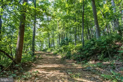 Church Mountain Lane, Broadway, VA 22815 - Photo 21