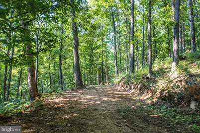 Church Mountain Lane, Broadway, VA 22815 - Photo 15