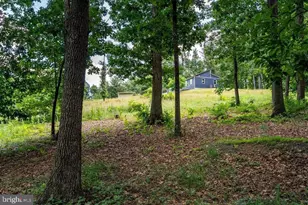 8905 Shade Tree Ln, Broadway, VA 22815 - Photo 75