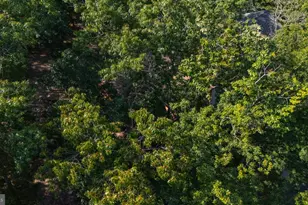 139 Yancey Ct, Mc Gaheysville, VA 22840 - Photo 43