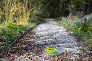 [Address not provided], Fulks Run, VA 22830 - Photo 85