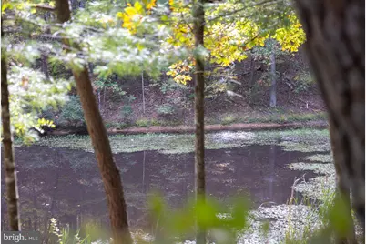 [Address not provided], Fulks Run, VA 22830 - Photo 87