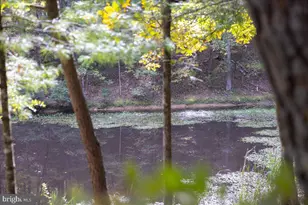 [Address not provided], Fulks Run, VA 22830 - Photo 87