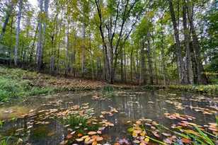 243 Aaron Mountain Rd, Castleton, VA 22716 - Photo 7