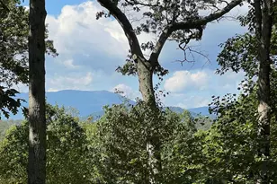 243 Aaron Mountain Rd, Castleton, VA 22716 - Photo 3