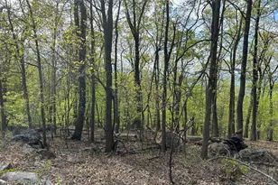 0, Chester Gap, VA 22623 - Photo 1