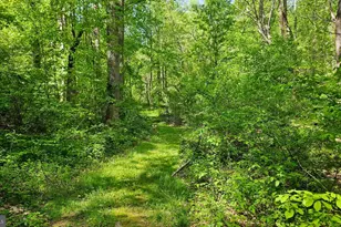 559 Bessie Bell Mountain Rd, Castleton, VA 22716 - Photo 69