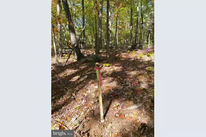 0 Castleton View Road, Castleton, VA 22716 - Photo 31