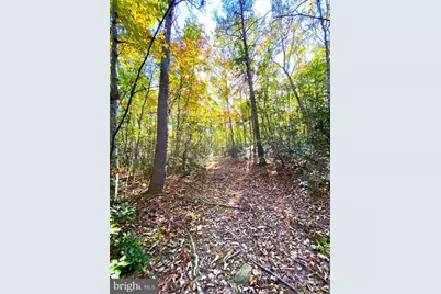 0 Castleton View Road, Castleton, VA 22716 - Photo 19