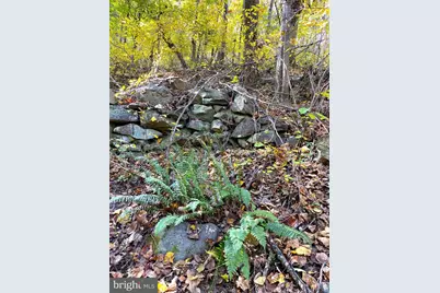 0 Castleton View Road, Castleton, VA 22716 - Photo 17