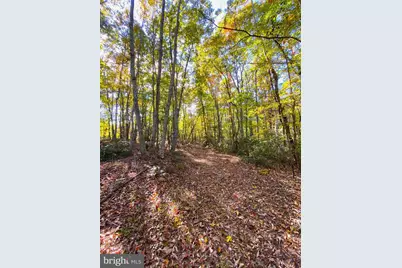 0 Castleton View Road, Castleton, VA 22716 - Photo 21