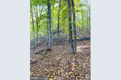 0 Castleton View Road, Castleton, VA 22716 - Photo 25