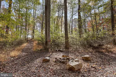 96 Castle Mountain Road, Castleton, VA 22716 - Photo 21