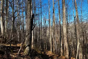 436 Hinsons Ford Rd, Amissville, VA 20106 - Photo 21