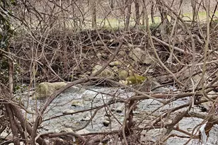 11790 Lee Hwy, Sperryville, VA 22740 - Photo 11