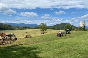 873 Hawlin Rd, Woodville, VA 22749 - Photo 51