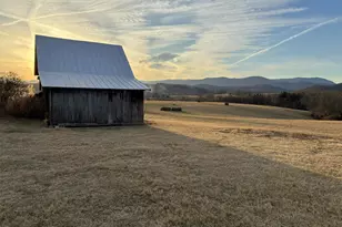 873 Hawlin Rd, Woodville, VA 22749 - Photo 53