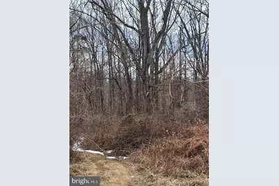 268 Rollins Ford Road, Amissville, VA 20106 - Photo 5