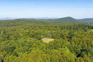 436 Castleton View Rd, Castleton, VA 22716 - Photo 65