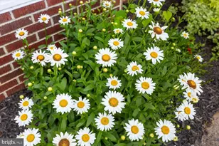 436 Castleton View Rd, Castleton, VA 22716 - Photo 7