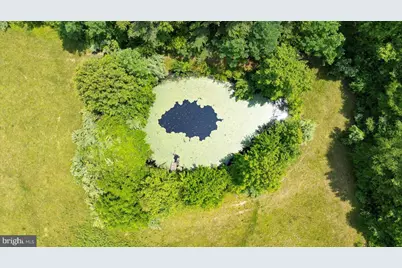 274 Aaron Mountain Road, Castleton, VA 22716 - Photo 59