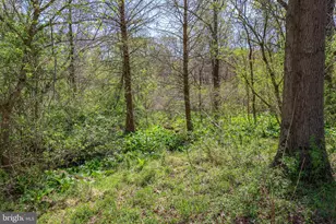 45 Shootz Hollow Rd, Huntly, VA 22640 - Photo 83