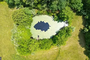 274A Aaron Mountain Rd, Castleton, VA 22716 - Photo 59