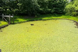 274A Aaron Mountain Rd, Castleton, VA 22716 - Photo 47