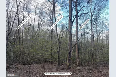 Padua, Sperryville, VA 22740 - Photo 3