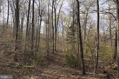 Padua, Sperryville, VA 22740 - Photo 1