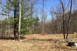 0 Padua Ln, Sperryville, VA 22740 - Photo 1