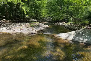 105 Swindler Hollow Rd, Sperryville, VA 22740 - Photo 33