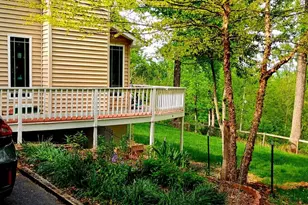 147 Blue Ridge Ave, Chester Gap, VA 22623 - Photo 47