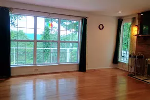 147 Blue Ridge Ave, Chester Gap, VA 22623 - Photo 13